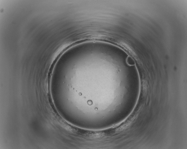 X0000062670891200512230944