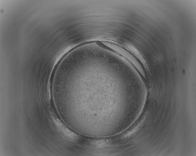 X0000062670892200512230944