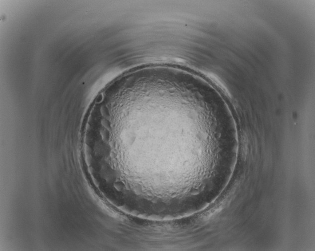 X0000062670895200512230944