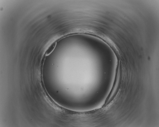 X0000062670896200512230944