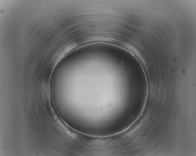 X0000062670898200512230944