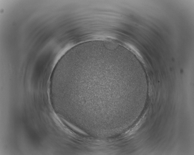 X0000062670899200512230943