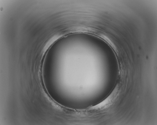 X0000062670901200512230943