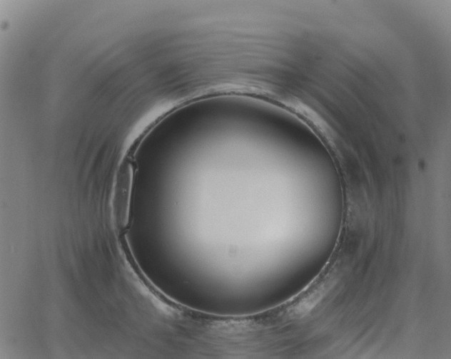 X0000062670902200512230943