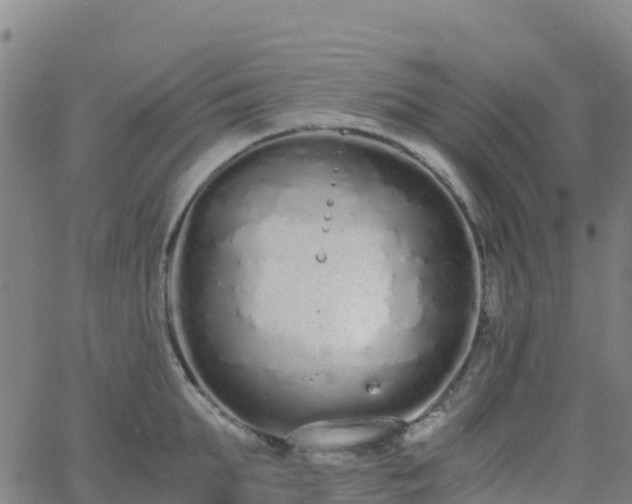 X0000062670903200512230943