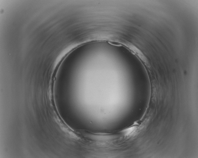 X0000062670904200512230943