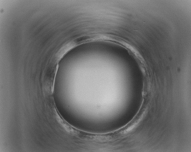 X0000062670905200512230943