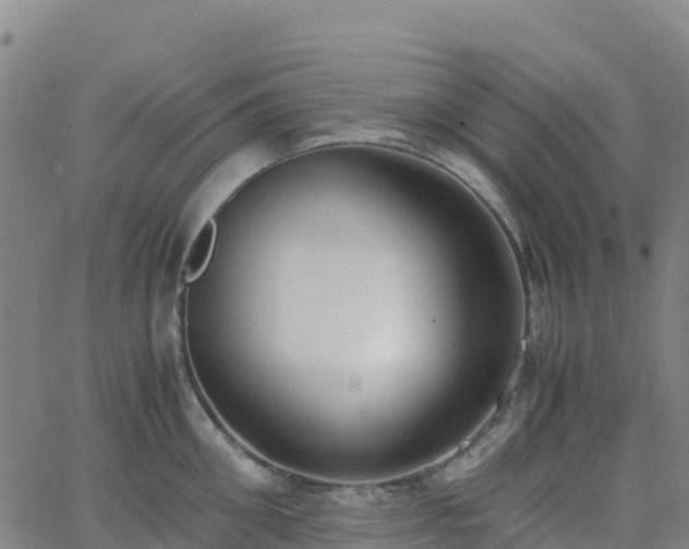 X0000062670906200512230943