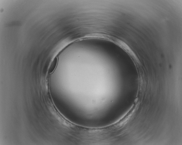 X0000062670908200512230943