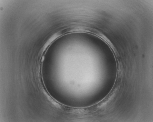 X0000062670909200512230943