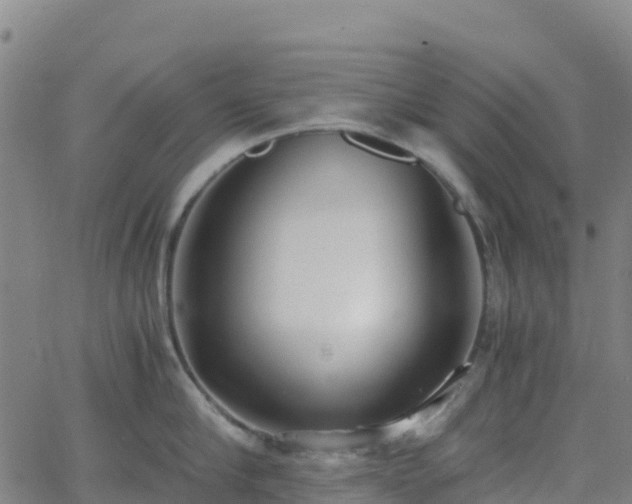 X0000062670910200512230943