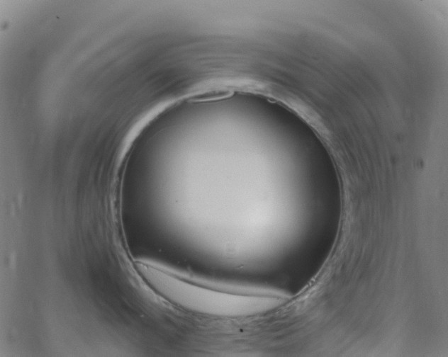 X0000062670912200512230943