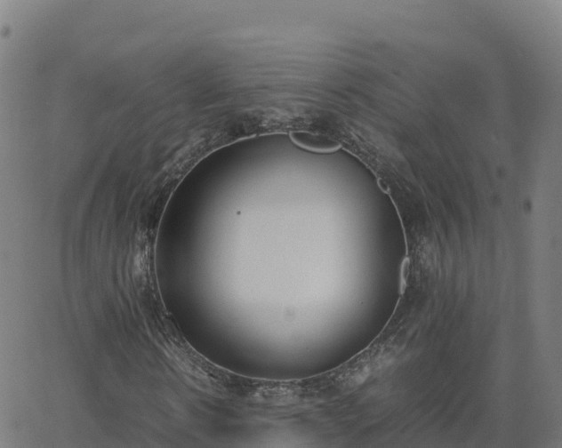 X0000062670914200512230943