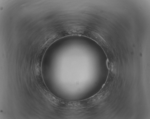 X0000062670915200512230943