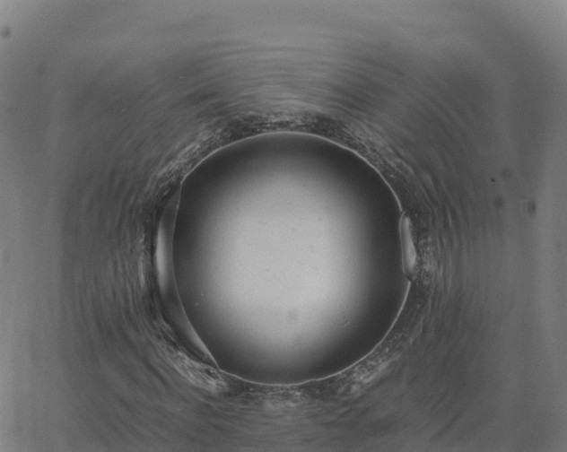 X0000062670916200512230943