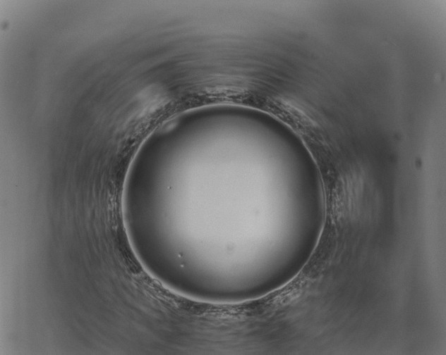 X0000062670917200512230943