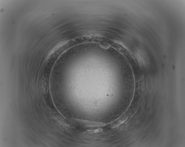 X0000062670919200512230943