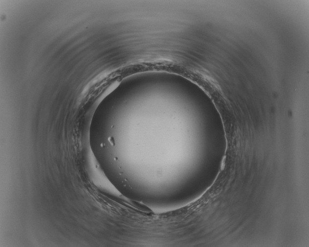 X0000062670920200512230943