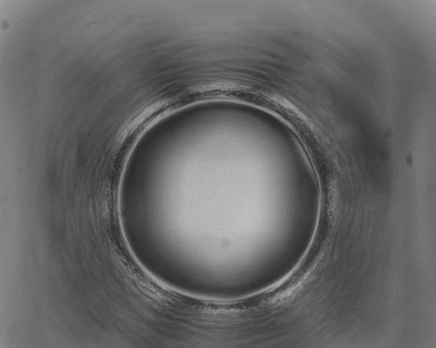 X0000062670921200512230943