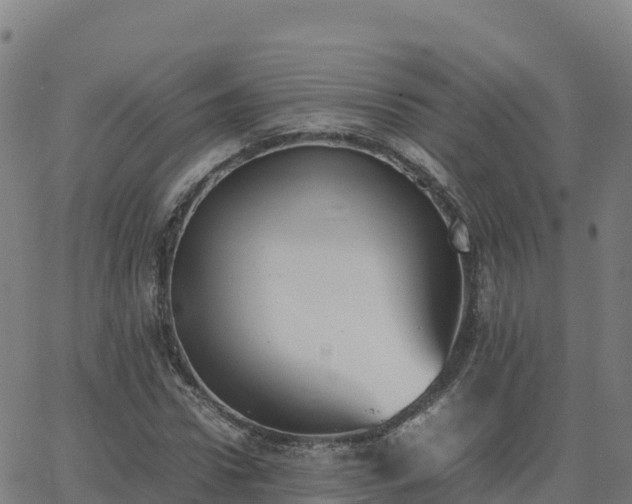 X0000062670922200512230943