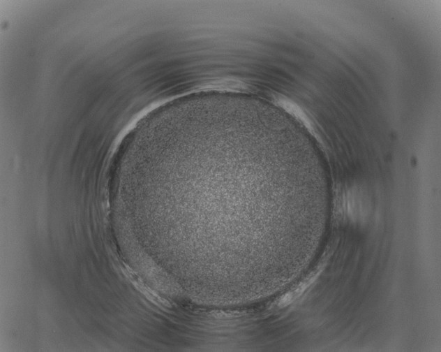 X0000062670923200512230943