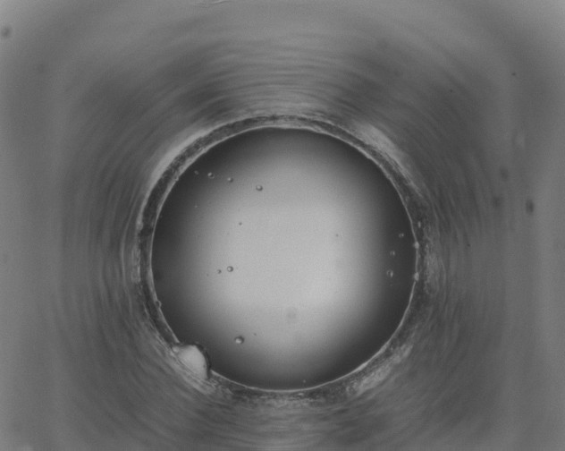 X0000062670924200512230943