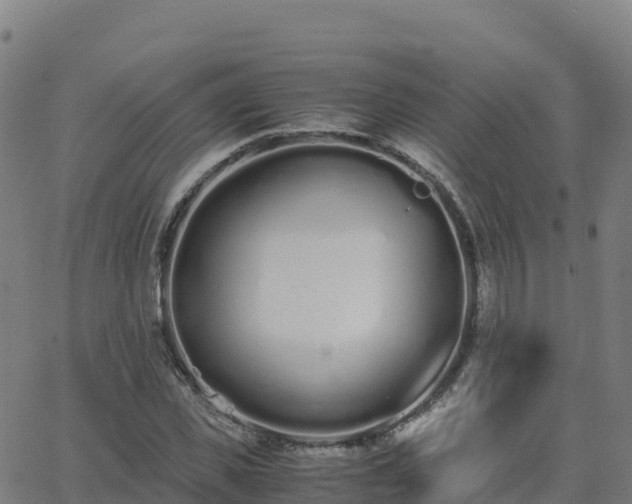 X0000062670925200512230943