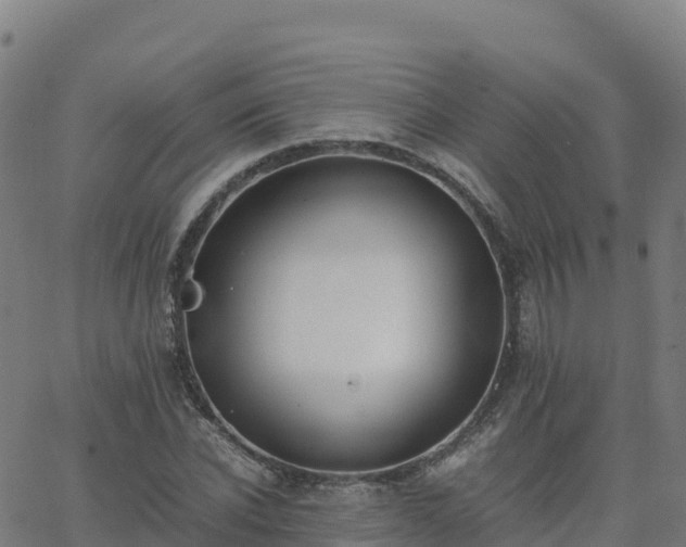 X0000062670926200512230943