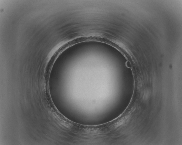 X0000062670927200512230943