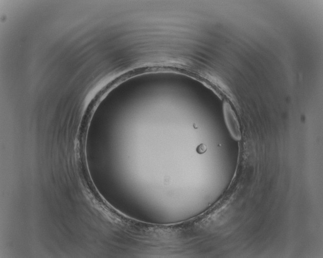 X0000062670928200512230943