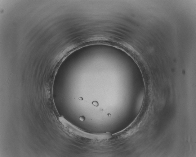 X0000062670929200512230943