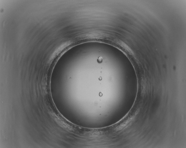 X0000062670930200512230943