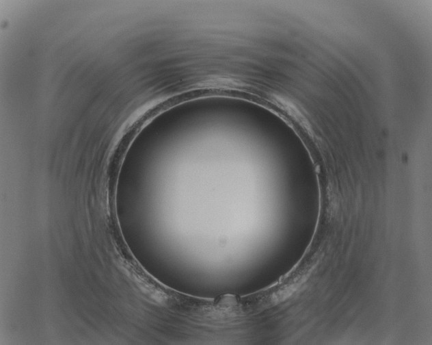 X0000062670931200512230943