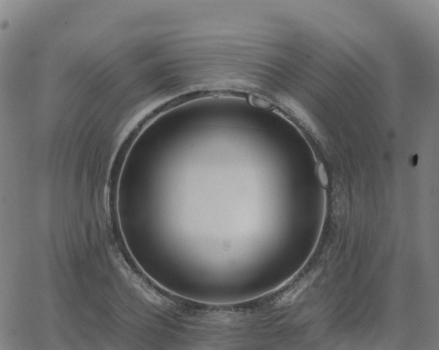 X0000062670932200512230943