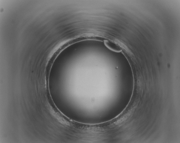 X0000062670934200512230943