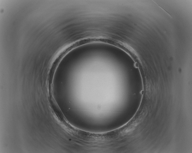 X0000062670935200512230943