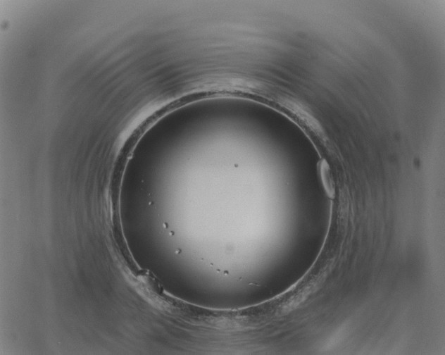 X0000062670936200512230943