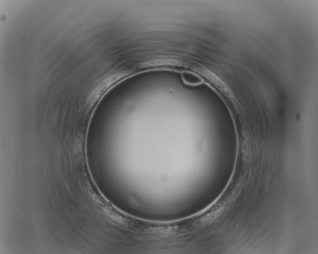 X0000062670937200512230943