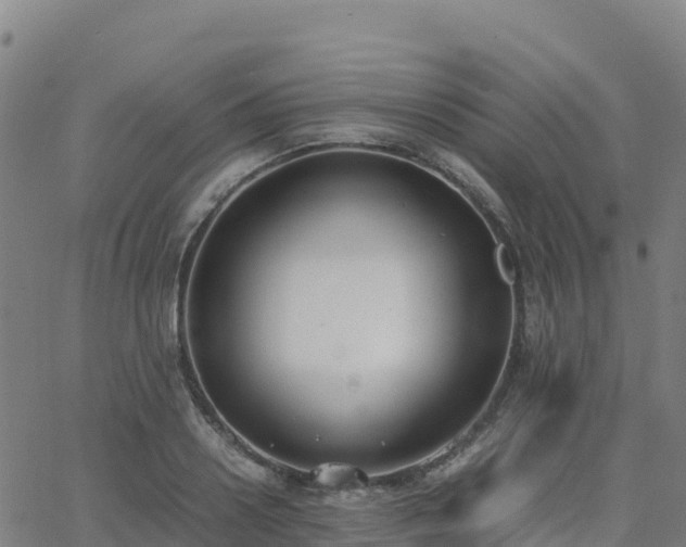 X0000062670938200512230943