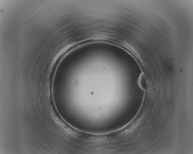 X0000062670939200512230943