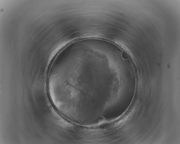 X0000062670941200512230943