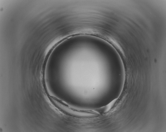 X0000062670944200512230943