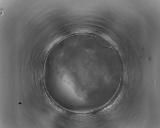 X0000062670945200512230943