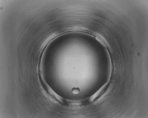 X0000062670946200512230943