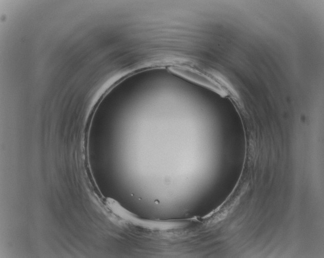 X0000062670948200512230943