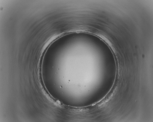 X0000062670949200512230943