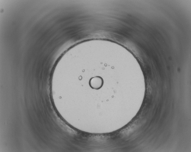 X0000062670950200512230943