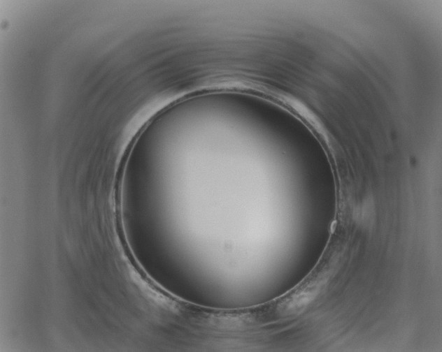 X0000062670951200512230943