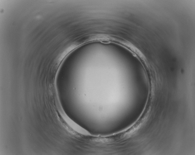 X0000062670953200512230943