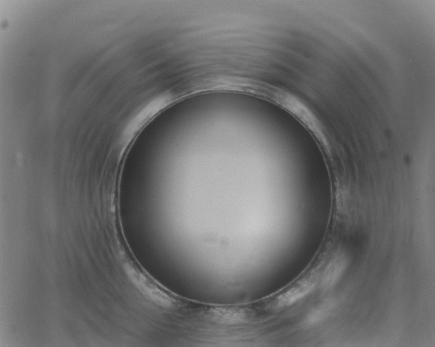 X0000062670954200512230943